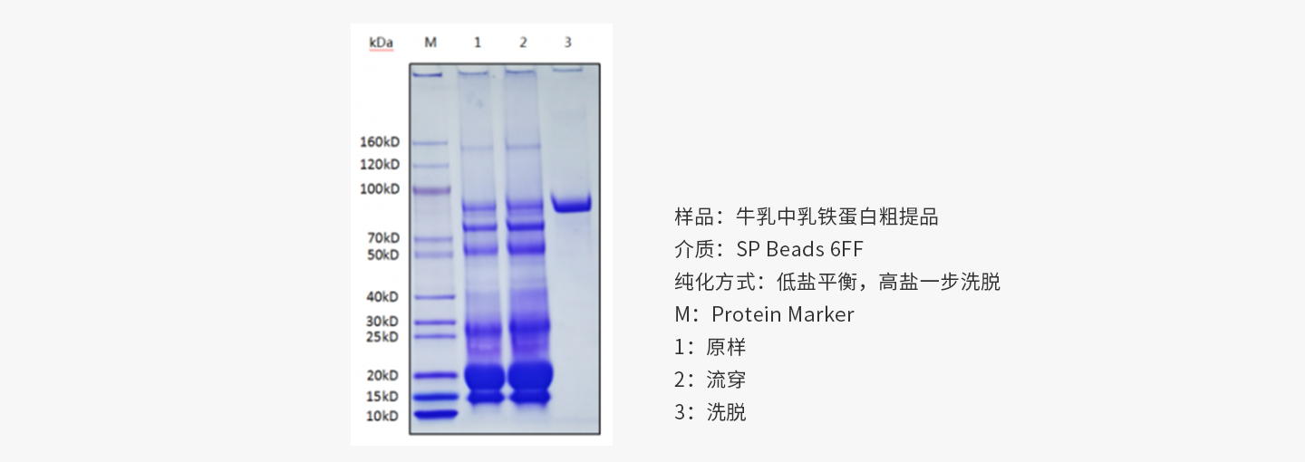 未標題-1.jpg